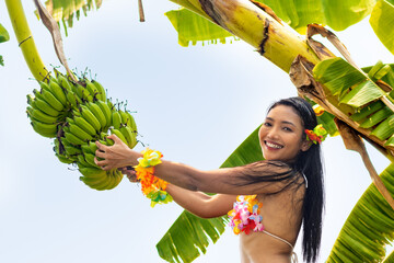 Hawaiian hula dancer pulls a bunch of bananas growing on a palm tree