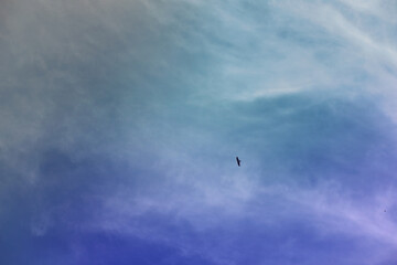 Beautiful sunset sky above clouds with dramatic light. Cabin view from airplane