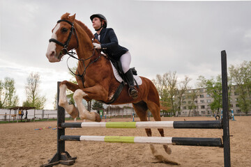 Horse and rider over jump, dynamic equestrian event