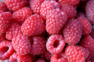 Fresh and sweet red raspberries texture background. Raspberry fruit pile background. Selection of...