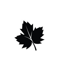 autumn maple leaf icon, vector best flat icon.