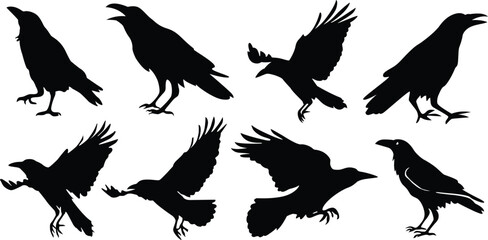 Crow silhouettes and flying crow silhouettes set. Vector illustration