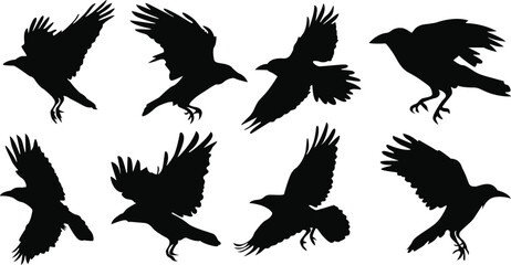 Crow silhouettes and flying crow silhouettes set. Vector illustration