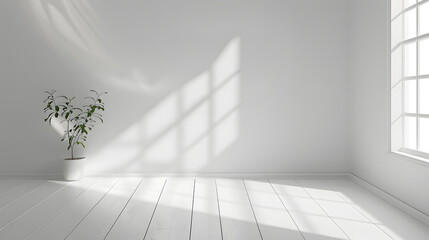 Fototapeta premium Minimalist photography background