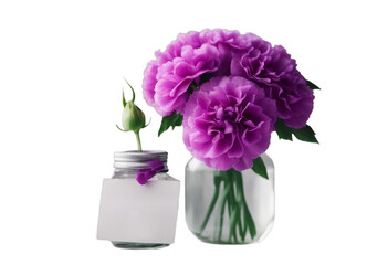 small vase and single purple carnation flower against 