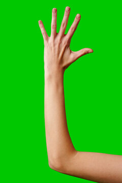 Human Hand Gesturing Against a Vibrant Green Background in Studio Setting