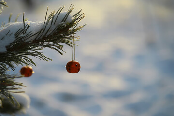 Red Christmas bell hangs on a snow-covered branch of a Christmas tree against a festive background...