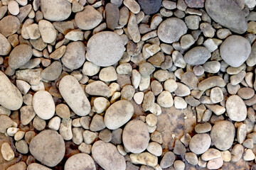 Stone background texture, rounded beautiful stones lie on the floor, beach.