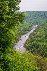 Carnifex Ferry State Park, American Civil War battle site in West Virginia