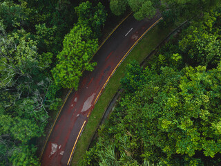 Cycling path in tropical forest mountains