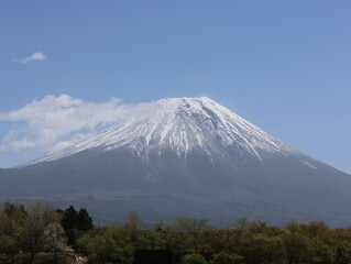 朝霧高原バス停より春の富士山の景色