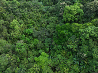 Obraz premium Aerial view of beautiful tropical forest mountain landscape in spring