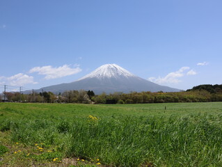 朝霧高原バス停より春の富士山の景色