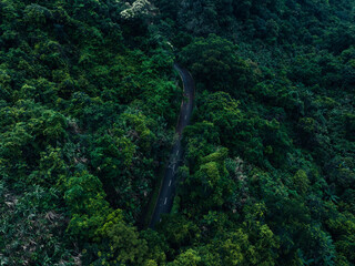Cycling trail in tropical forest mountains