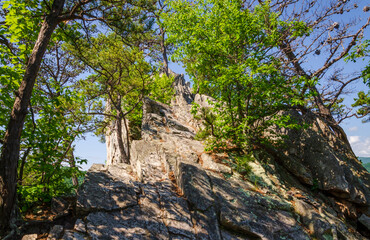 Spruce Knob-Seneca Rocks National Recreation Area, Park in Riverton, West Virginia