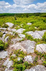 Fototapeta na wymiar Bear Rocks Preserve, Nature preserve in West Virginia