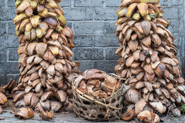 Dried coconut husks for further processing into charcoal