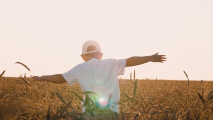 Happy boy kid running at sunlight dry wheat field with open hands enjoy childhood back view. Funny...