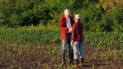 Two agronomist colleagues shaking hands work as team at sunny corn field agriculture harvest. Man...