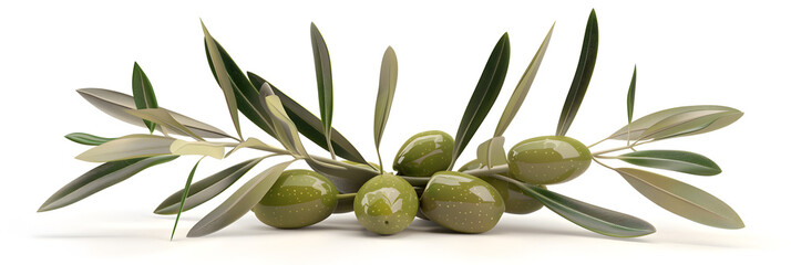 Olive twig with several olives  on the white background