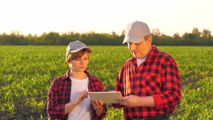 Man and woman agronomist colleague use digital tablet pc at sunny corn field closeup. Two farmer...