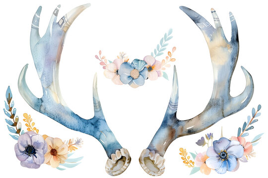 Watercolor deer horns with flowers isolated on white.Boho design. Tribal decorative