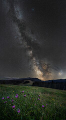 Milky way over austrian Alps with nice flowers and meadow in the foreground
