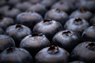 Ripe sweet blueberries. Fresh blueberries background. Vegan and vegetarian concept. Macrotexture of blueberries. Texture of blueberries close-up