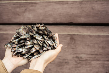 dried fish in hands