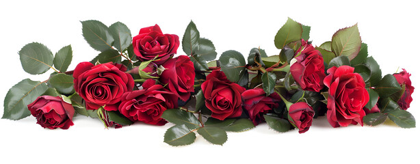 Bouquet of four red roses isolate on a white background. Roses bouquet isolated on white background.
