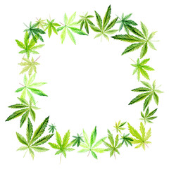 Banner, template with a green frame of Cannabis indica, Marijuana medicinal plant. Watercolor illustration