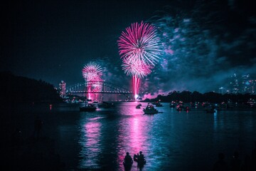 Fireworks light up the sky with vibrant colors and loud pops, enchanting crowds and marking special...