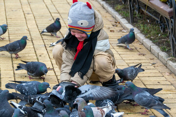 Cute little boy in green rubber boots is feeding pigeons from the bench. Image with toning and selective focus