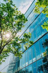 Office buildings with glass facades and green trees