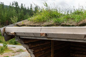 The roof of old traditional Norwegian house is covered with grass. Scandinavian style roof decoration with plants and grass to insulate, sound insulation and protect from rain, snow and moisture.