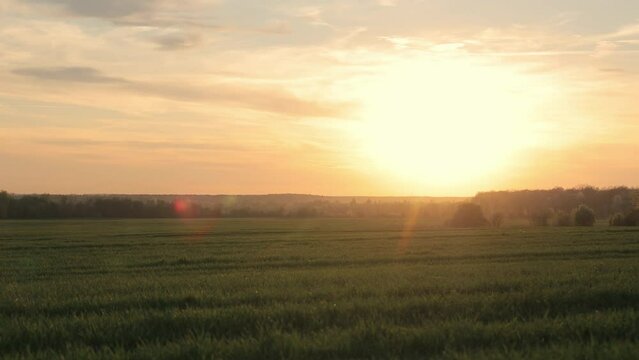 Pristine Sunset Over Lush Fields, The sun's final rays casting a warm glow over a wide expanse of green fields.