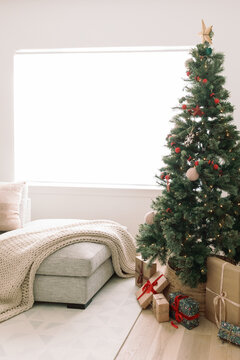 Family Room with Christmas Tree