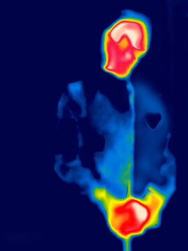 Accuse of callousness. The masked executioner with a cold and bloody heart. Thermal Impressionism