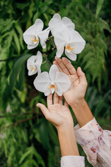 Woman enjoys orchid flowersl. Girl taking care of orchid  plants holding them in hands. White,...