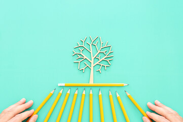 Top view image of pencil and tree concept. idea of education, creativity, and growth - 793671662