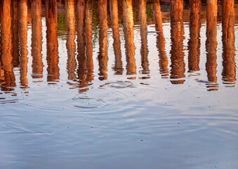 The wooden piles of the fishing pier are reflected in the water. Fish are splashing in the water....