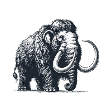 recommend clip art: The mammoth. Black white vector illustration.