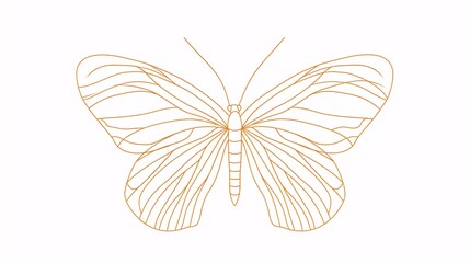 One unbroken line drawing of a butterfly. Elegant flying insect for wellness, aesthetic or relaxation business icon and partition idea in minimalistic linear 