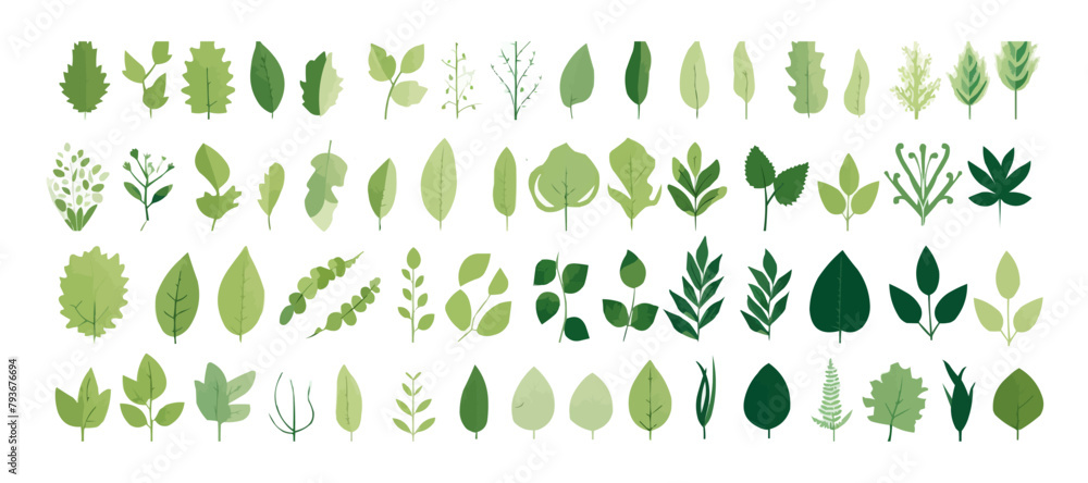 Poster green leaves big vector collection - set of graphical elements with various leaf designs in differen
