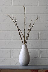 willow branches in a white vase on a white background © Ира Якимчук