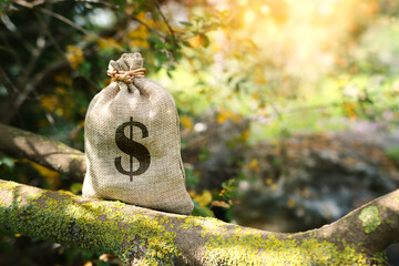 A bag of money with a dollar sign. An idea of wise investment and financial profit - 793677639