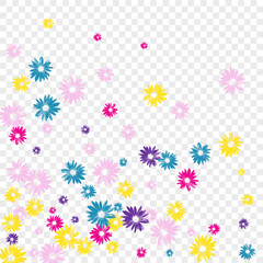 Blue Floral Background Transparent Vector. Gerbera Festive Backdrop. Green Flowers Hand Drawn. Decor Design. Chic Colorful Petal.