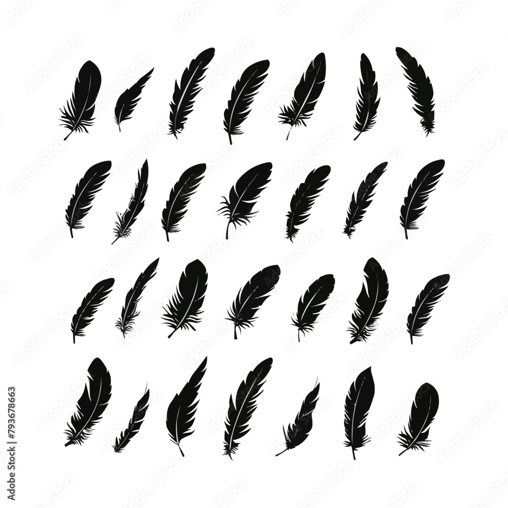 Poster vector feathers set. elements for design isolated on white. bird feather icon silhouette collection.
