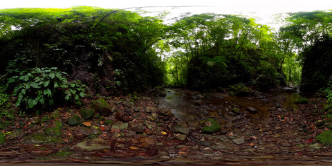 River in the rainforest in the mountains. Negros, Philippines. 360-Degree view.
