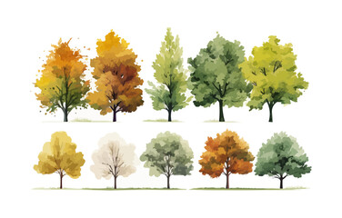 Vector set of autumn trees, Vector of green grass or shrub isolated on white background,tree elevation for landscape concept,environment panorama scene,eco design,watercolor meadow